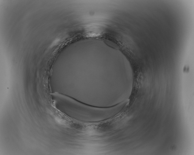 X0000111381441200907241259