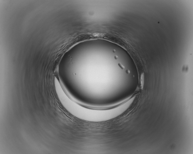 X0000111381443200907241259