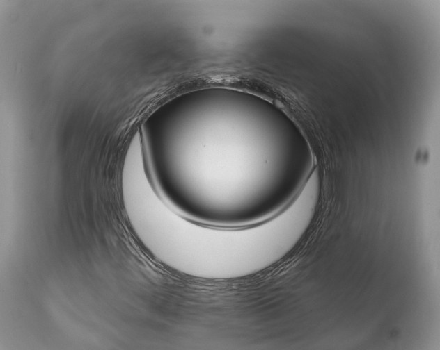 X0000111381444200907241259