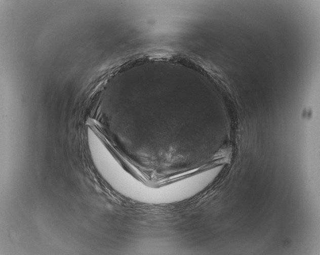 X0000111381445200907241259