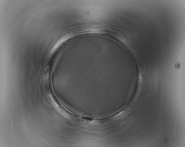 X0000111381450200907241259