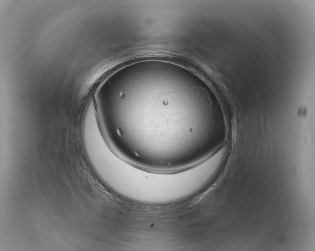 X0000111381453200907241258