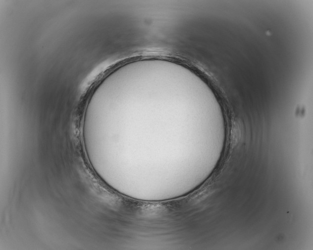 X0000111381454200907241258