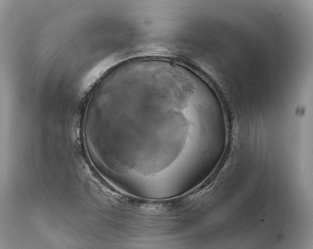 X0000111381455200907241258