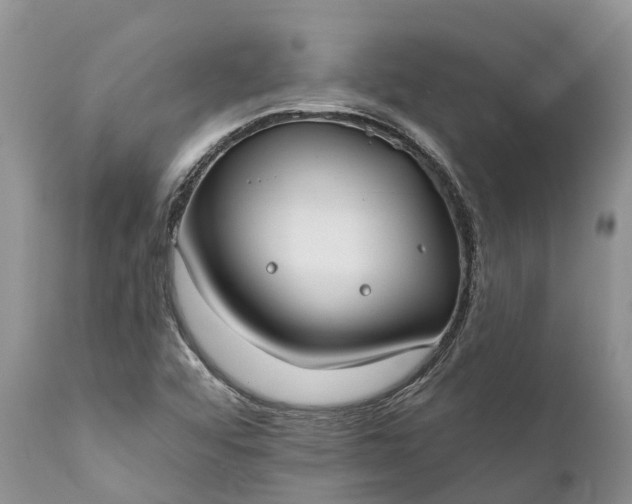 X0000111381456200907241258