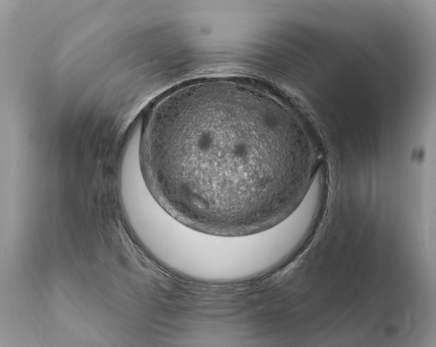 X0000111381457200907241258