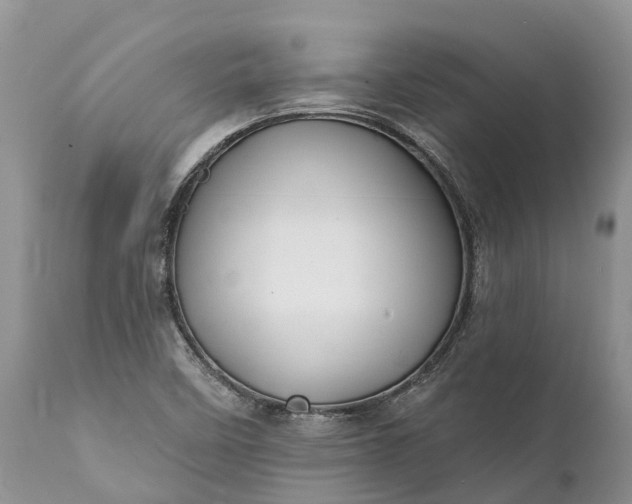 X0000111381458200907241258