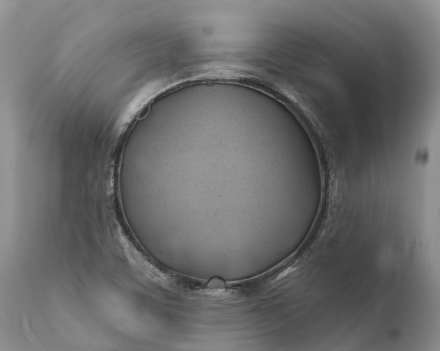 X0000111381459200907241258