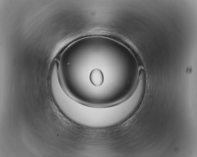 X0000111381461200907241258