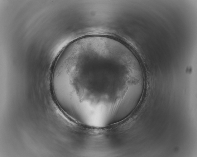 X0000111381463200907241258