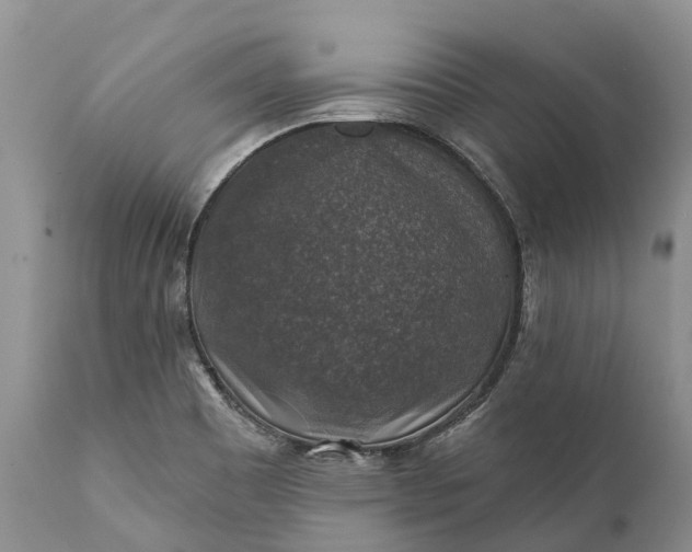 X0000111381465200907241258