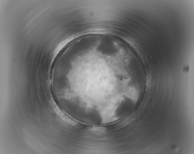 X0000111381466200907241258