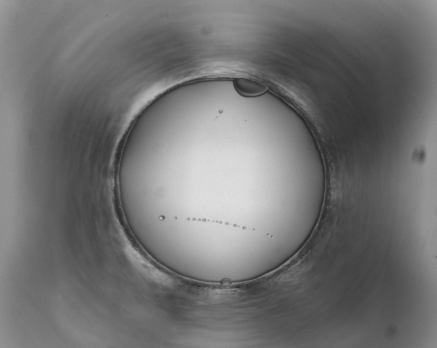 X0000111381471200907241258