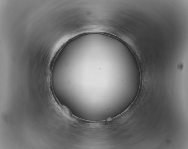 X0000111381472200907241258