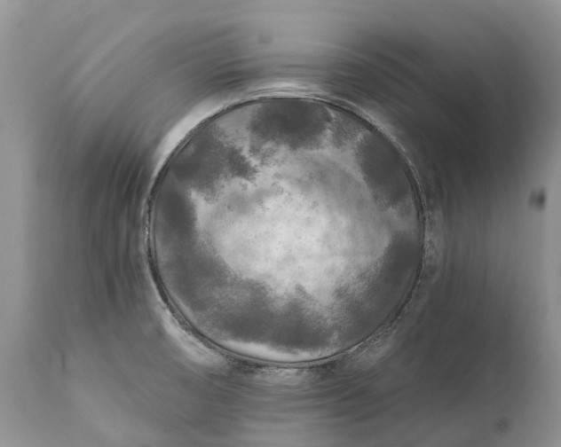 X0000111381474200907241258