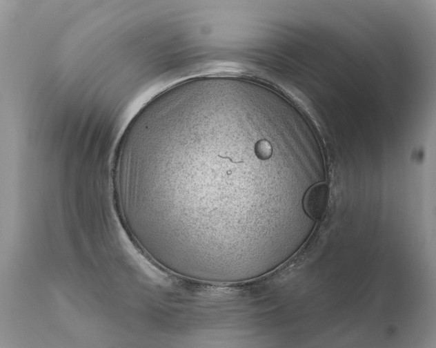 X0000111381475200907241258