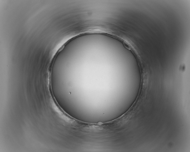 X0000111381476200907241258