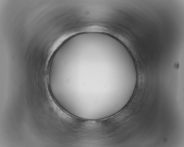 X0000111381478200907241258