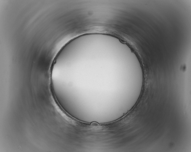 X0000111381479200907241258