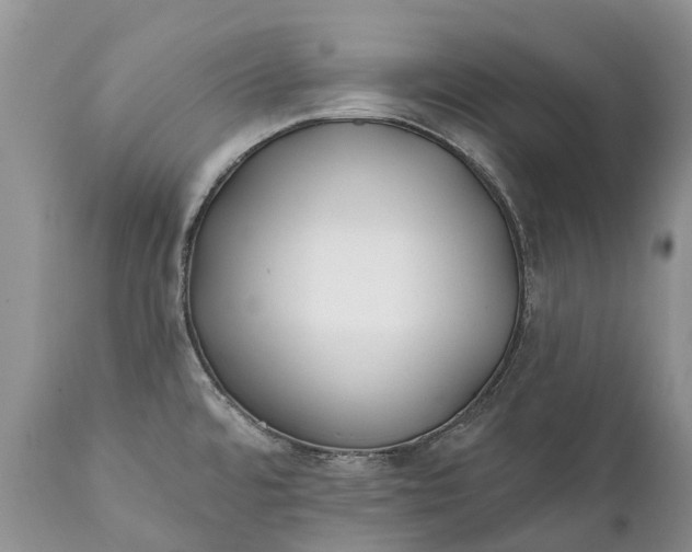 X0000111381480200907241258