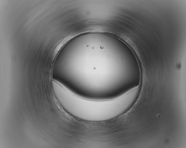 X0000111381481200907241258