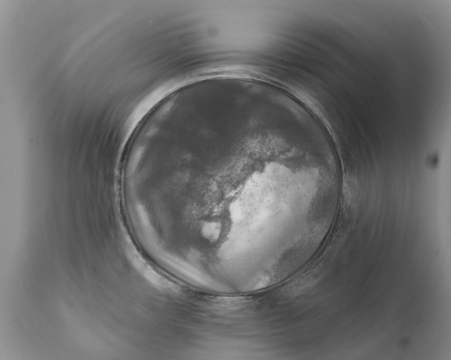 X0000111381482200907241258