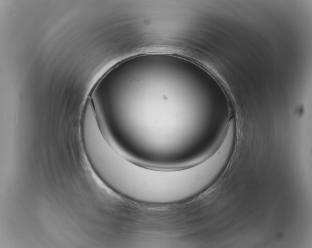 X0000111381484200907241258