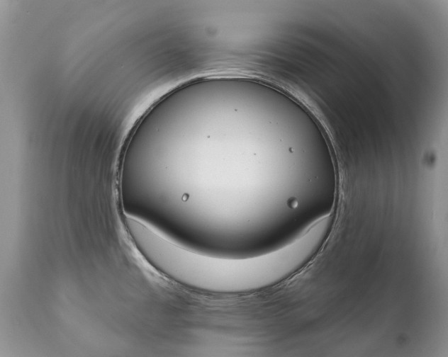 X0000111381485200907241258