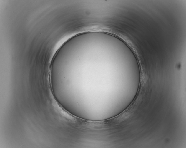 X0000111381486200907241258