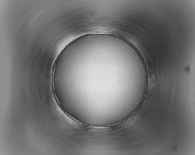 X0000111381487200907241258