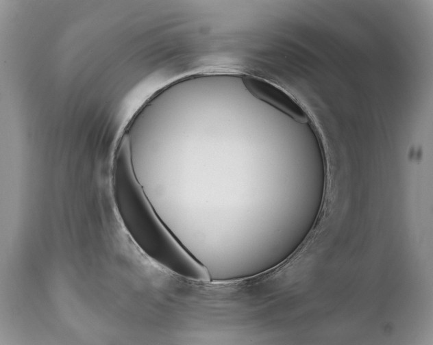 X0000111381488200907241258