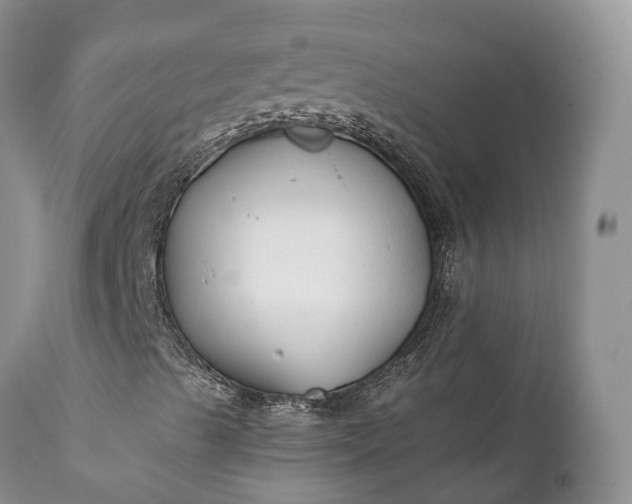 X0000111381489200907241257