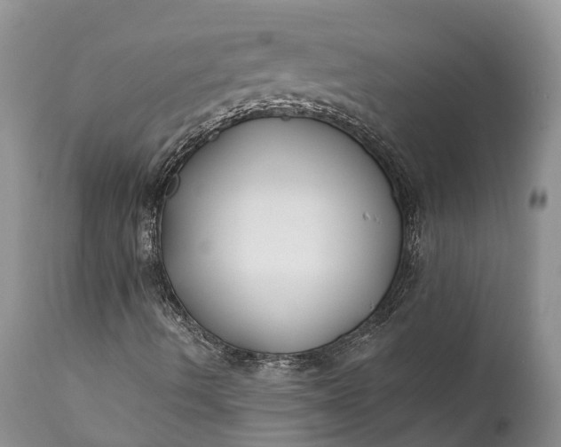 X0000111381490200907241257