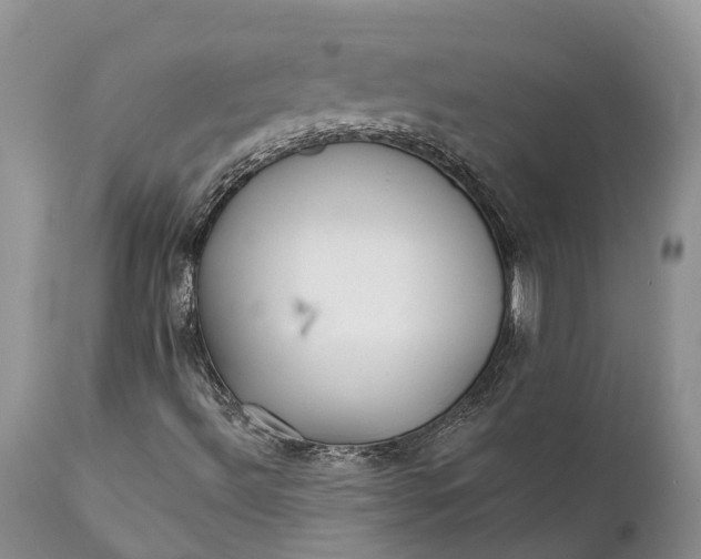 X0000111381492200907241257