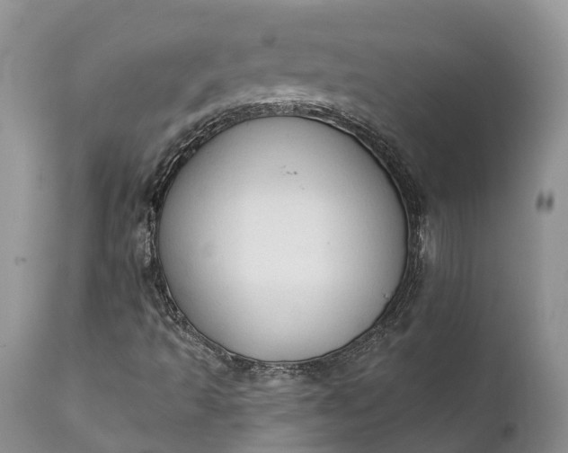 X0000111381493200907241257