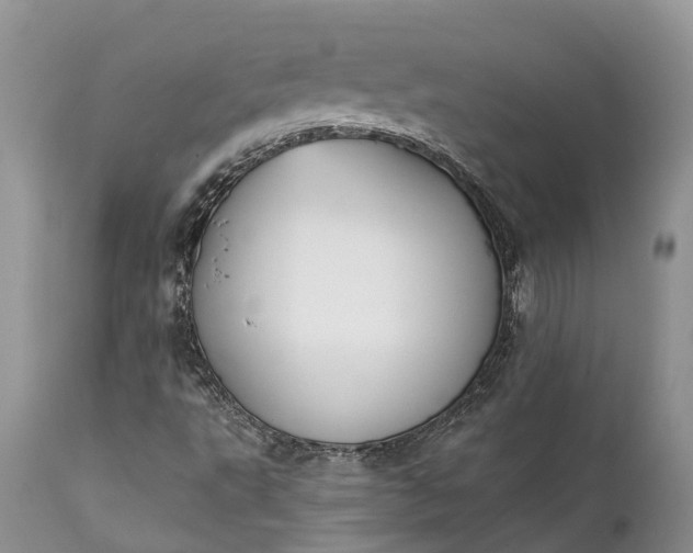 X0000111381495200907241257