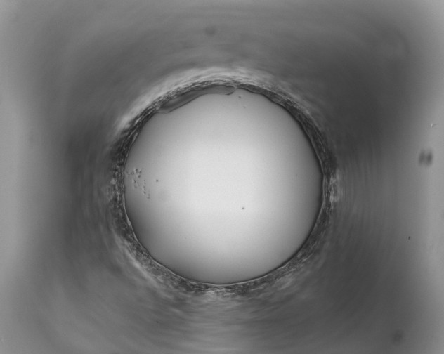 X0000111381496200907241257