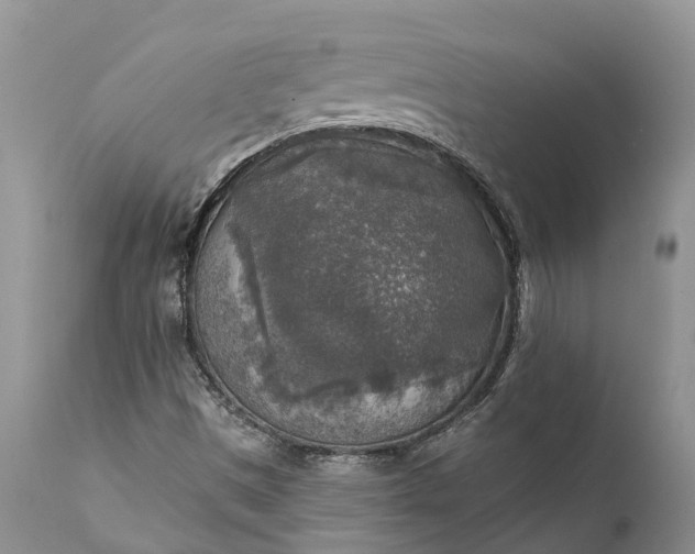 X0000111381497200907241257