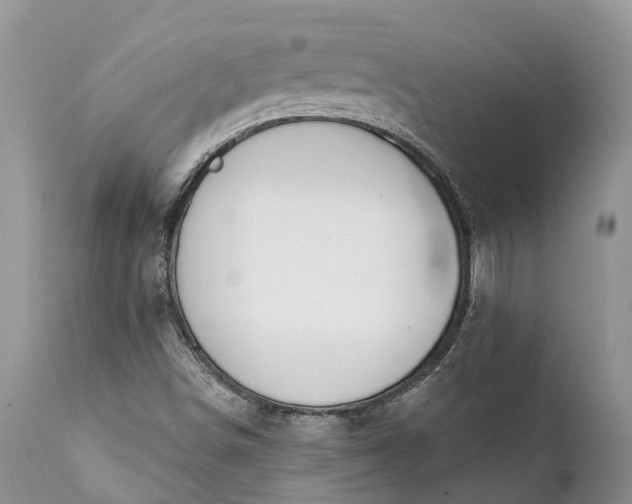 X0000111381498200907241257