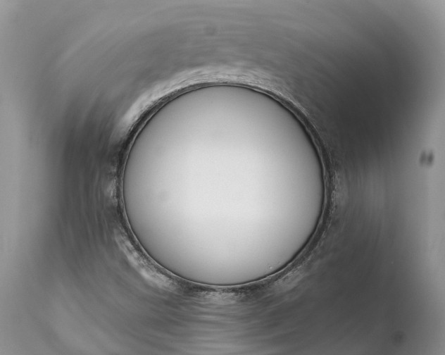 X0000111381499200907241257