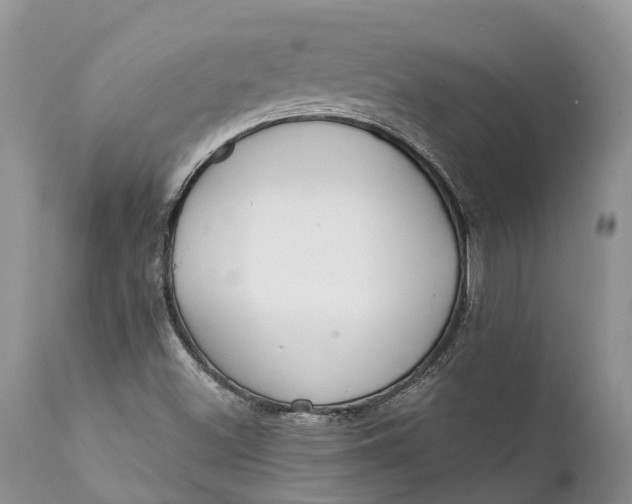 X0000111381500200907241257