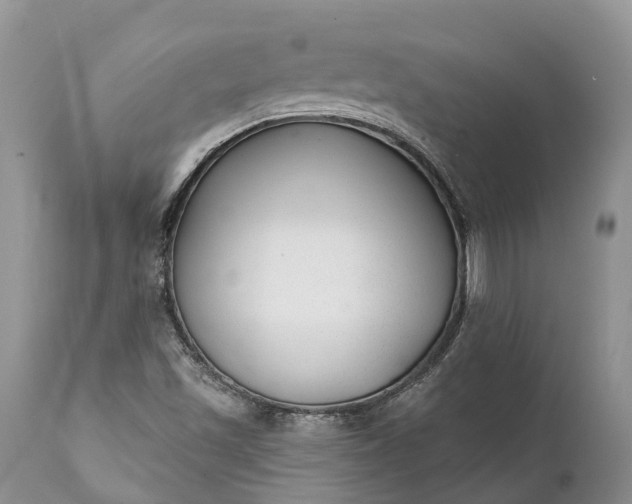 X0000111381501200907241257