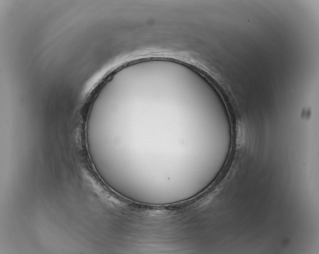 X0000111381502200907241257