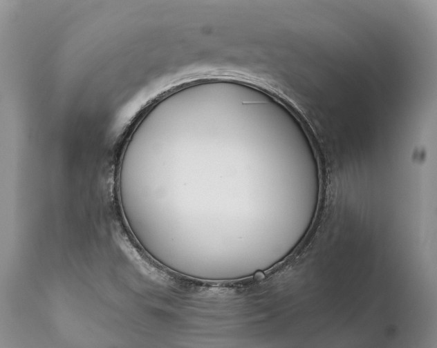 X0000111381503200907241258