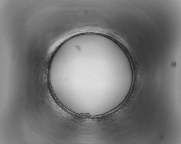 X0000111381504200907241258