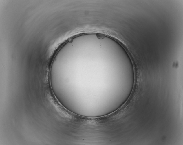 X0000111381507200907241258