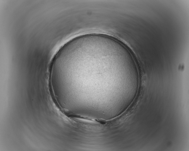 X0000111381508200907241258