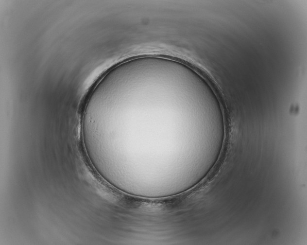 X0000111381509200907241258