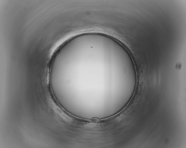 X0000111381510200907241258