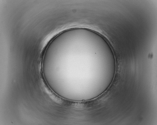 X0000111381511200907241258